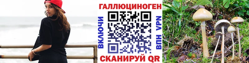 Купить Порхов Галлюциногенные грибы MAGIC MUSHROOMS